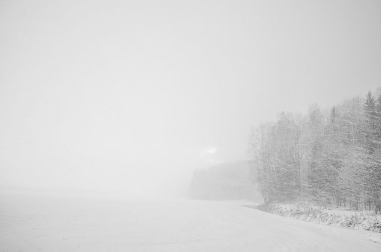 Ramūnas Motiekaitis – Ambientai
