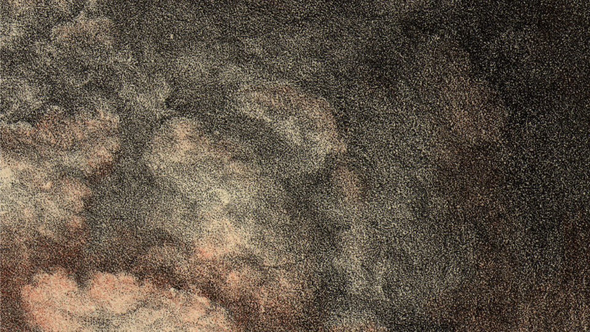 Penktoji „Krakatau“ laida – „Fleitų nerštas“. Šioje laidoje girdėsite 15 sluoksnių fleitų, neršiančių lyg planktonas. Radiofoninė garso skulptūra skirta vandens stichijai.