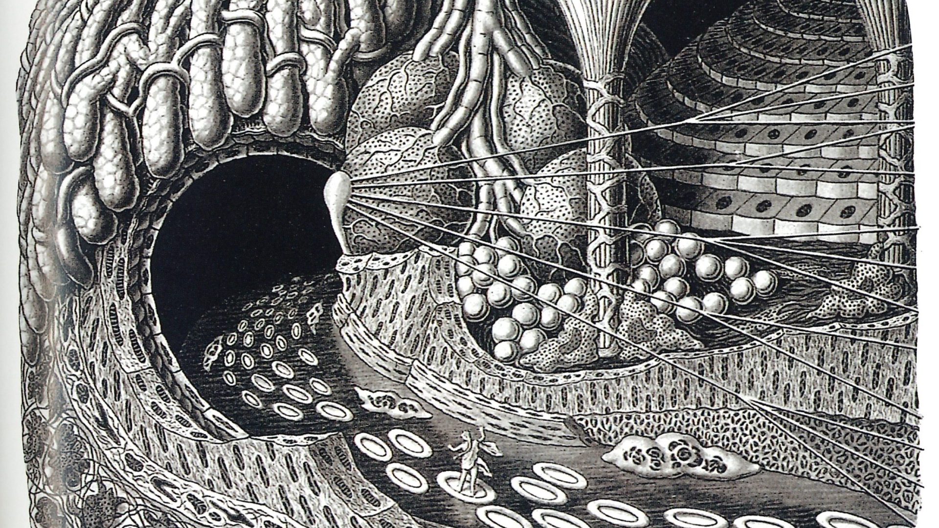 Gruodžio 1 d., 20 val. „Rasų radijo“ galerija kviečia pasiklausyti antrojo James Andean kuruojamos „Sonic Worlds: Works from MTI²“ serijos kūrinio, garso menininkės Louise Rossiter – „Fairytale journey on the bloodstream“.