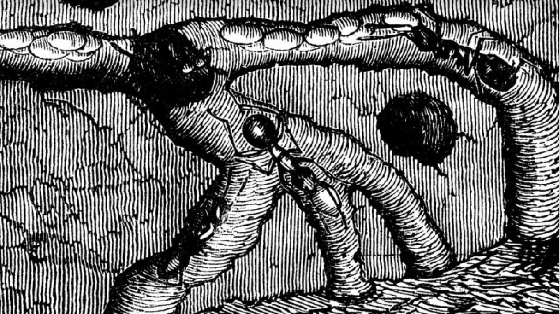 7rd of December at 7PM the 6th 'Unarcheology Radio' mix presents sounds of anthills, wood burning and wind distorting microphones from various parts of the world.